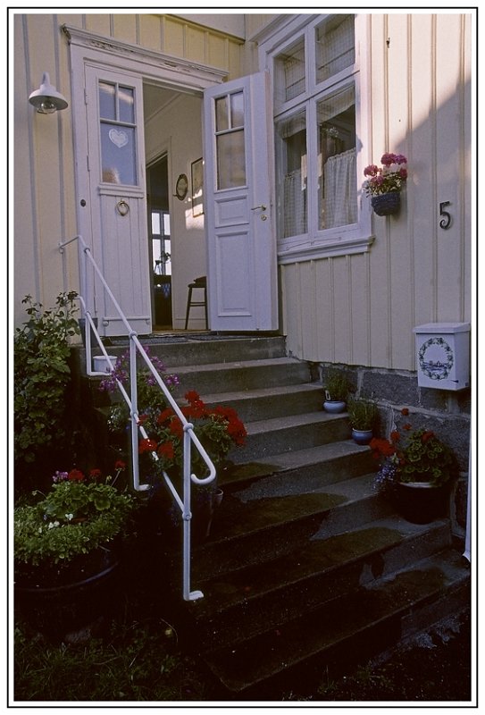 Escalier bien arrose.jpg